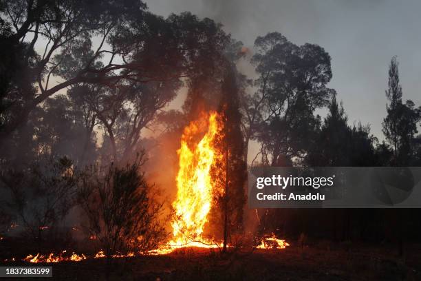 Smoke and flame rise after lightning strikes caused various fires in the Narrabri region, Australia on December 09, 2023.