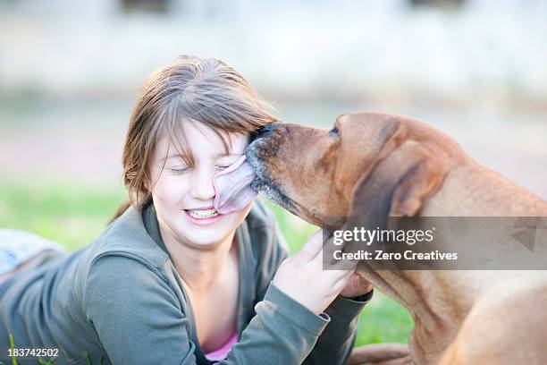 dog licking girl's face - dog licking face stockfoto's en -beelden