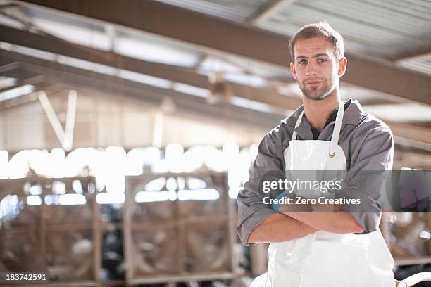 portrait of a dairy farm worker - farmer confident serious stock pictures, royalty-free photos & images