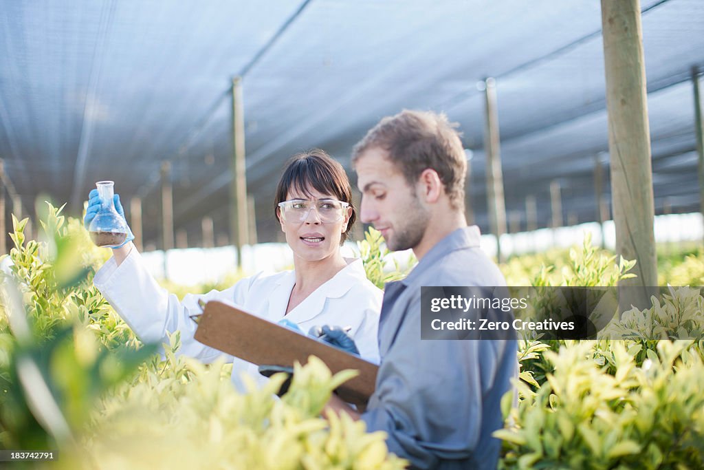 Scientist and worker in plant nursery