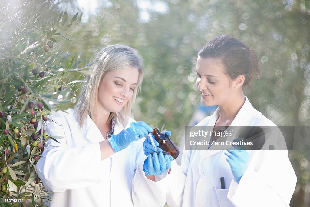 Two women with sample of olive oil in olive grove