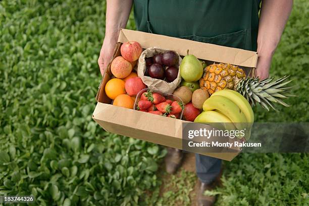 farmer carrying organic fruit in box for delivery, close up - fruit box stock-fotos und bilder