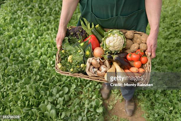farmer carrying organic vegetables in box for delivery, close up - organic farm stock-fotos und bilder