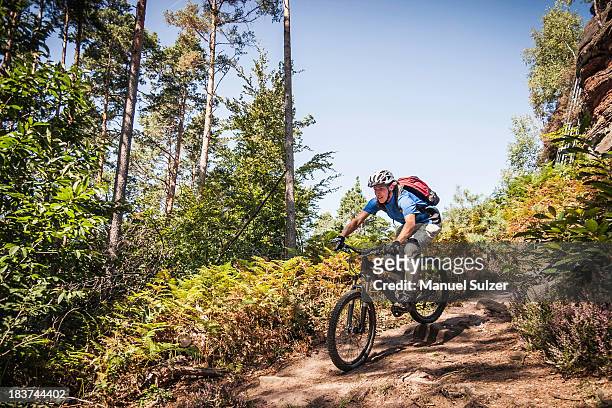 man mountain biking through forest - bavaria bike stock pictures, royalty-free photos & images