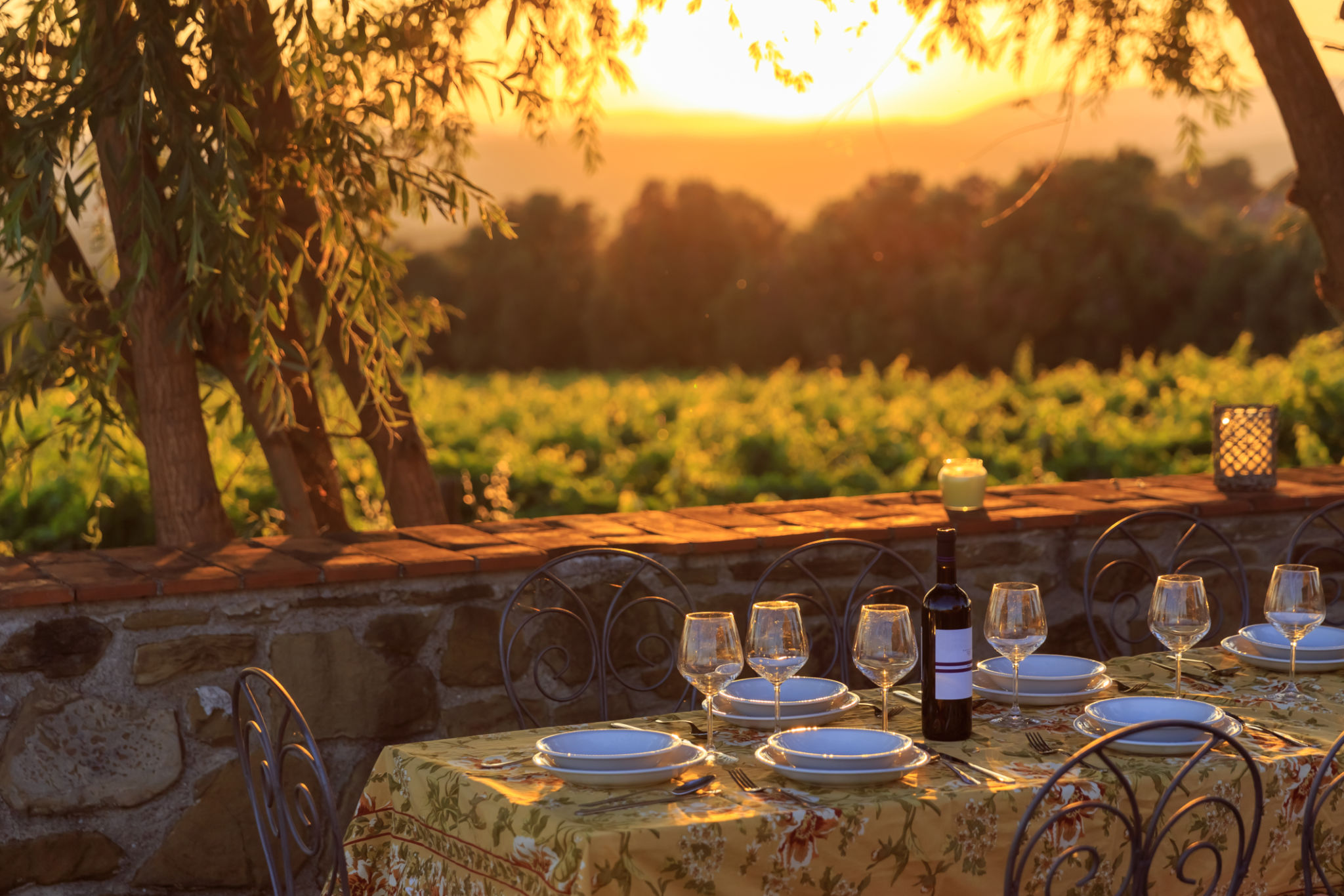 Langhe table vineyards Langhe table vineyards