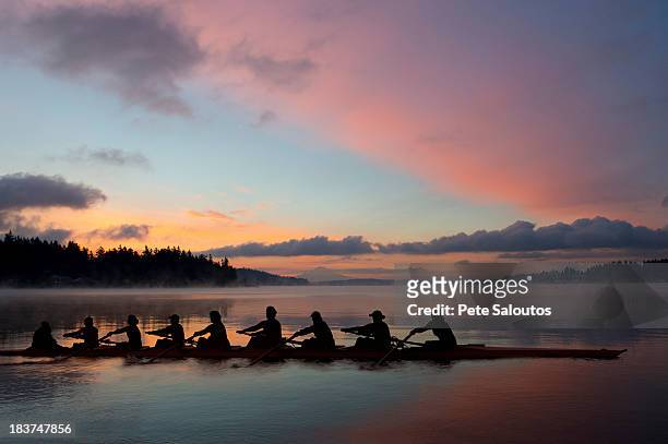 nine people rowing at sunset - bainbridge island 個照片及圖片檔