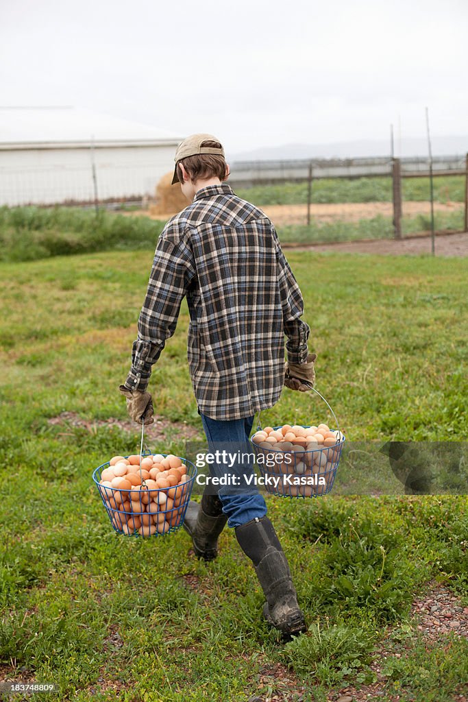 Boy carrying two baskets of eggs