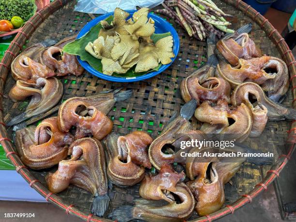 dried snakehead fish - channidi foto e immagini stock