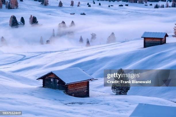 Hilly agricultural countryside with wooden huts and trees at Seiser Alm, Alpe di Siusi, covered in fresh snow in autumn at sunrise. The entire...