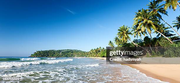 paradies-tropische strand, sri lanka - sri lanka stock-fotos und bilder