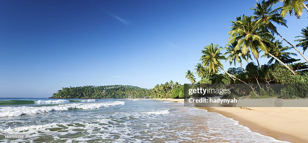 Paradise - tropical beach, Sri Lanka