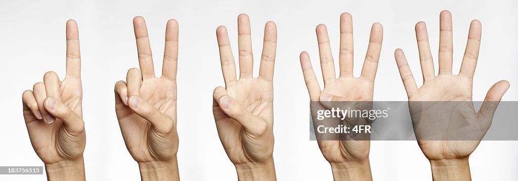 One, Two, Three, Four, Five - Counting with Fingers (XXXL)