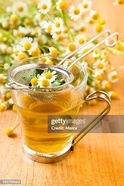 chamomile tea infusion - chamomile plant stock pictures, royalty-free photos & images