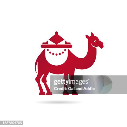 Dromedary camel Dromedary camel