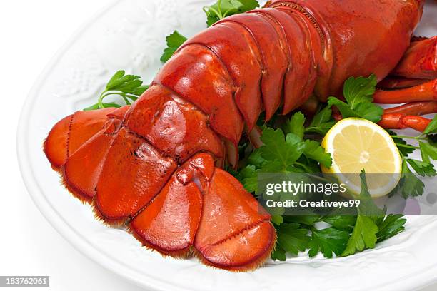 lobster tail - lobster platter stock pictures, royalty-free photos & images