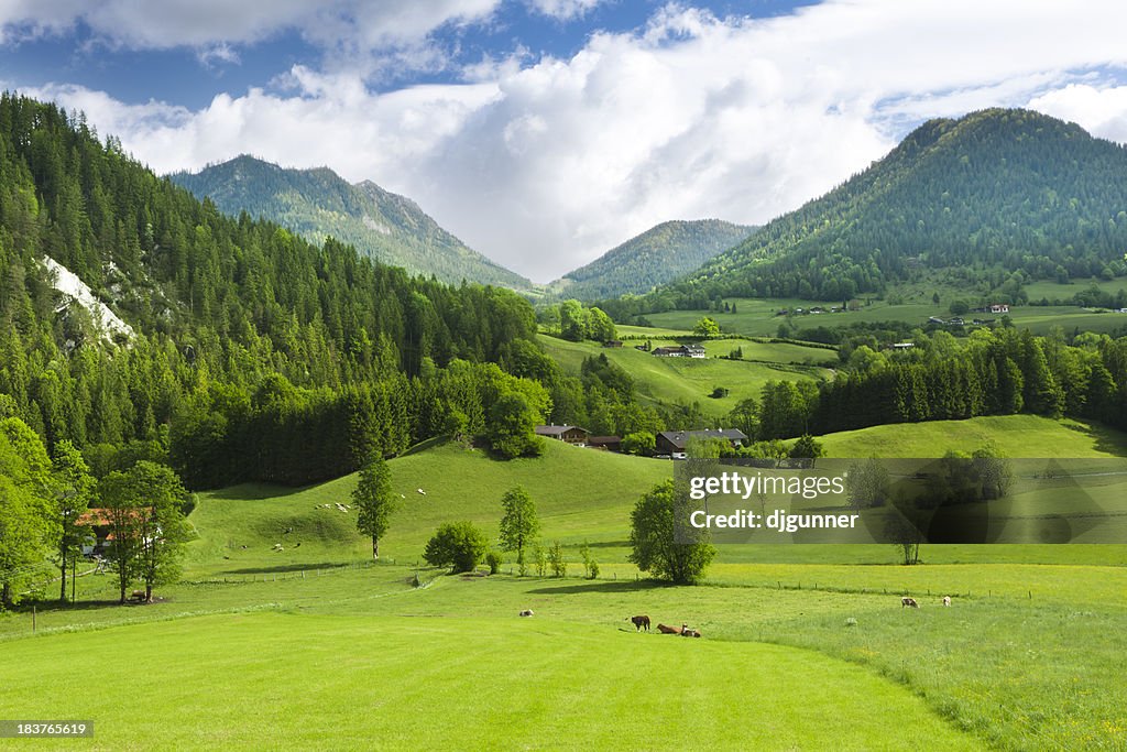 Green fields and mounatins