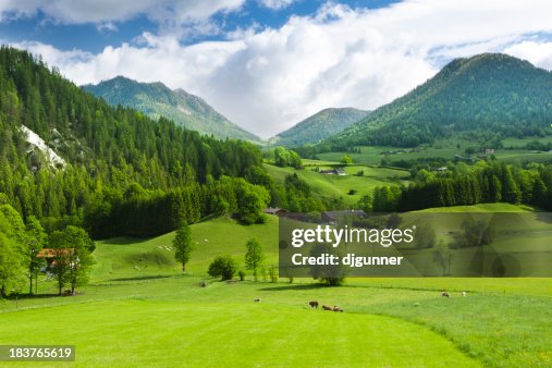 Green fields and mounatins Green fields and mounatins