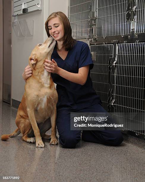 tierärztliche krankenschwester mit hund - hundehütte stock-fotos und bilder