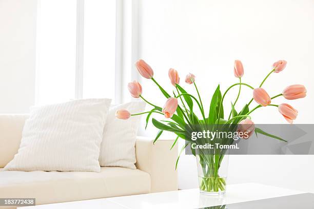 modern living room - vas bildbanksfoton och bilder