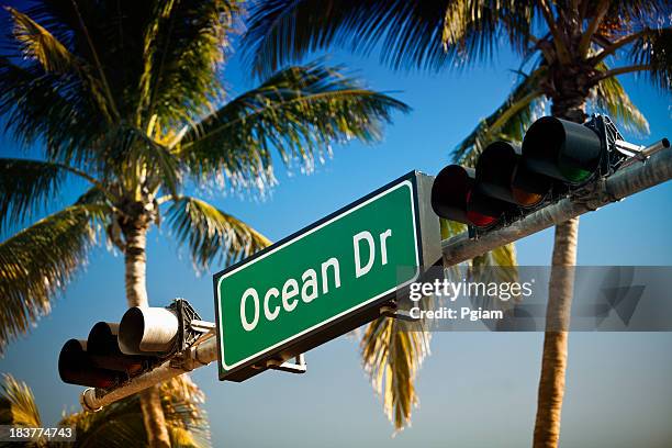 ocean drive in miami by palm trees - ocean drive stock pictures, royalty-free photos & images