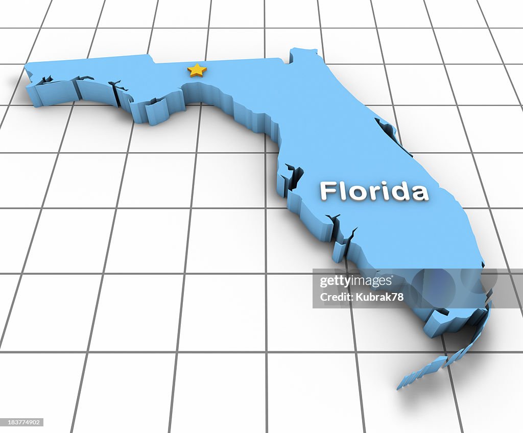 Florida State Map 3D