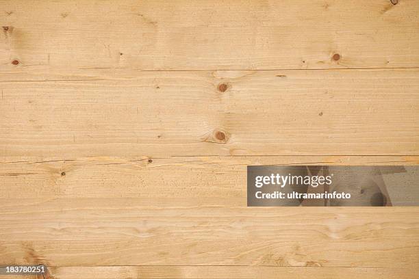 legno di pino - legno di pino foto e immagini stock