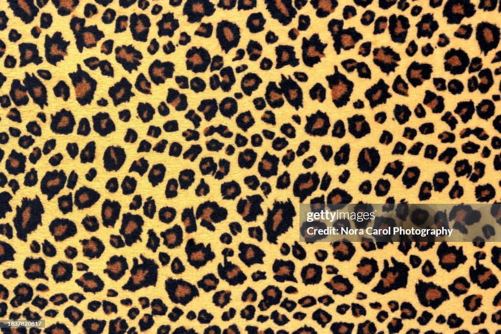 Leopard Skin Pattern