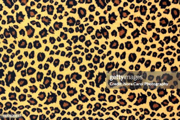 leopard skin pattern - leopardenfell stock-fotos und bilder