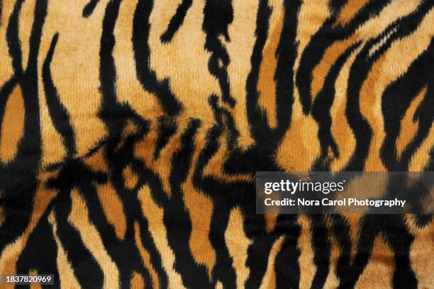 tiger skin pattern background - tijgerprint stockfoto's en -beelden