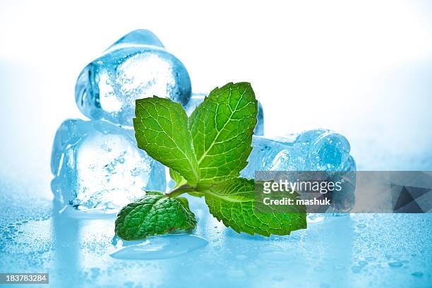 cool mint - peppermint green stock pictures, royalty-free photos & images