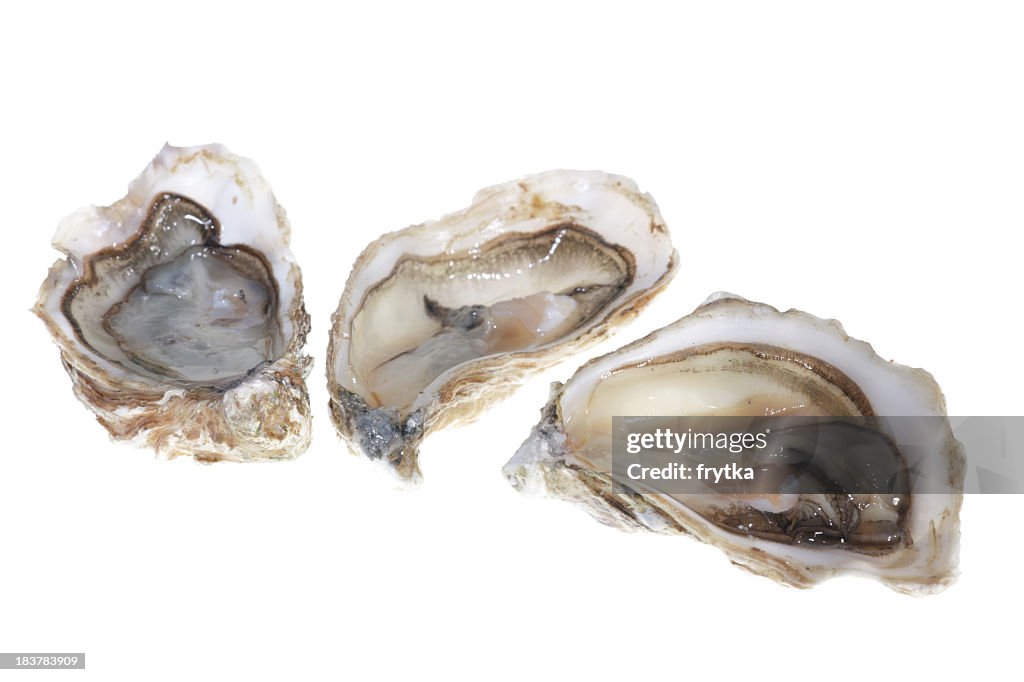Oysters with meat on the inside