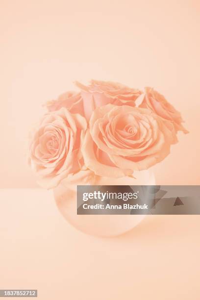 Thousand Year Rose Photos and Premium High Res Pictures - Getty Images
