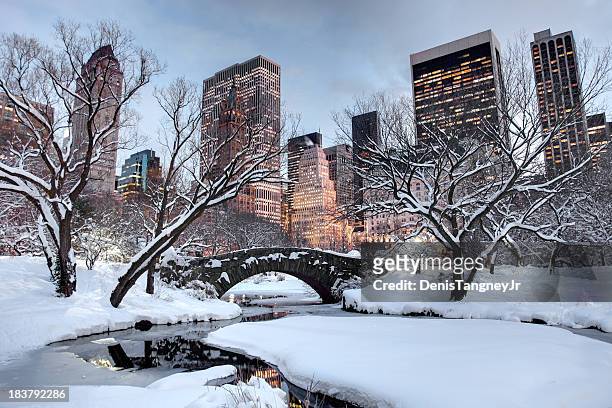 winter in new york city - central park manhattan stock-fotos und bilder