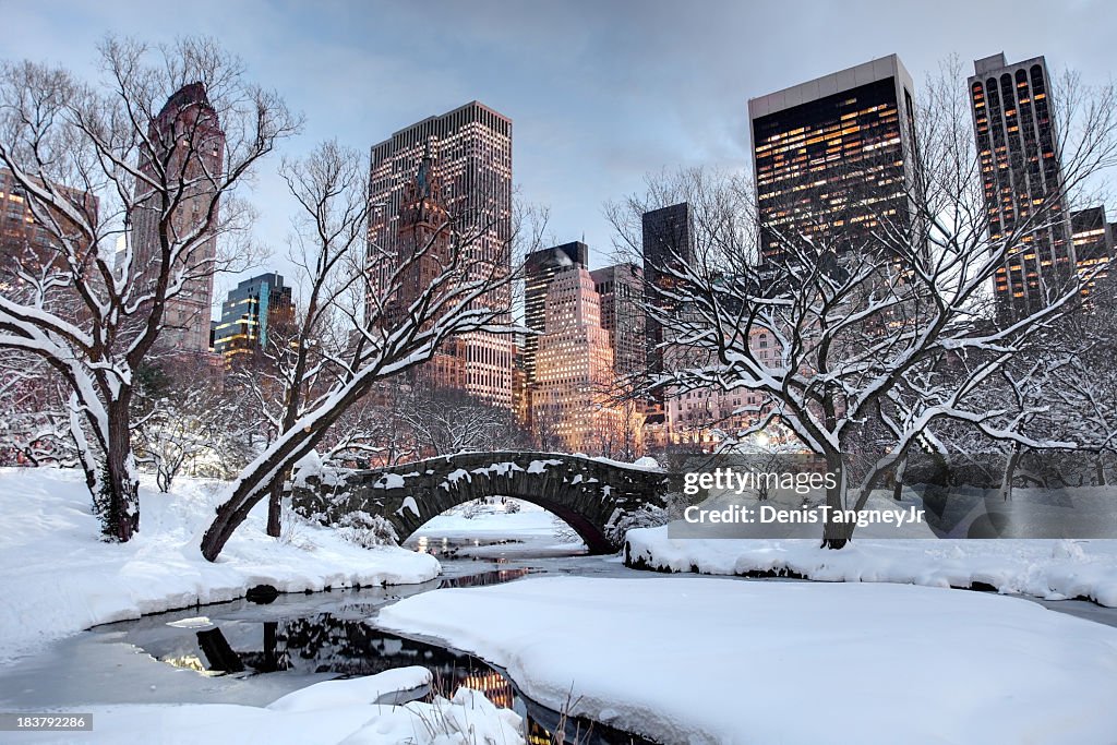 Winter in New York City