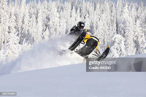 snowmobile splashing snow with snowy pines in the background - snow vehicle stock pictures, royalty-free photos & images