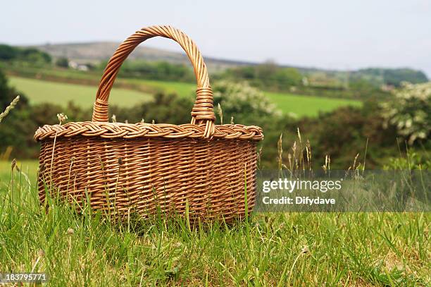 basket on the grass - picnic basket stock pictures, royalty-free photos & images