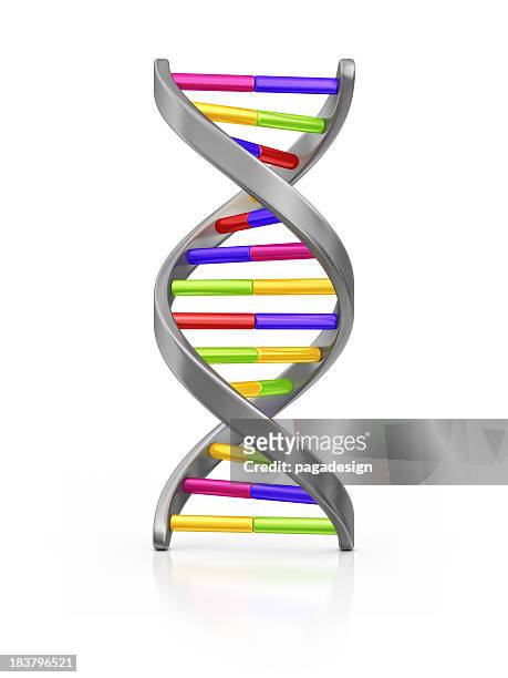 dna - dna spiral stock pictures, royalty-free photos & images