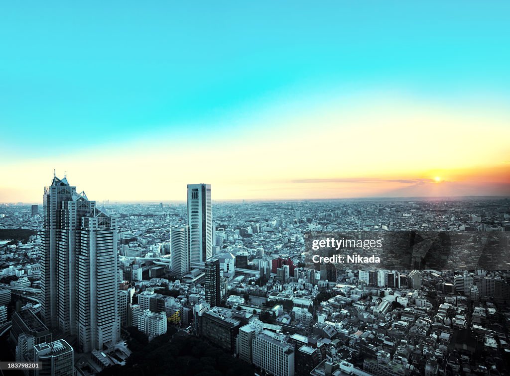 Tokyo City View