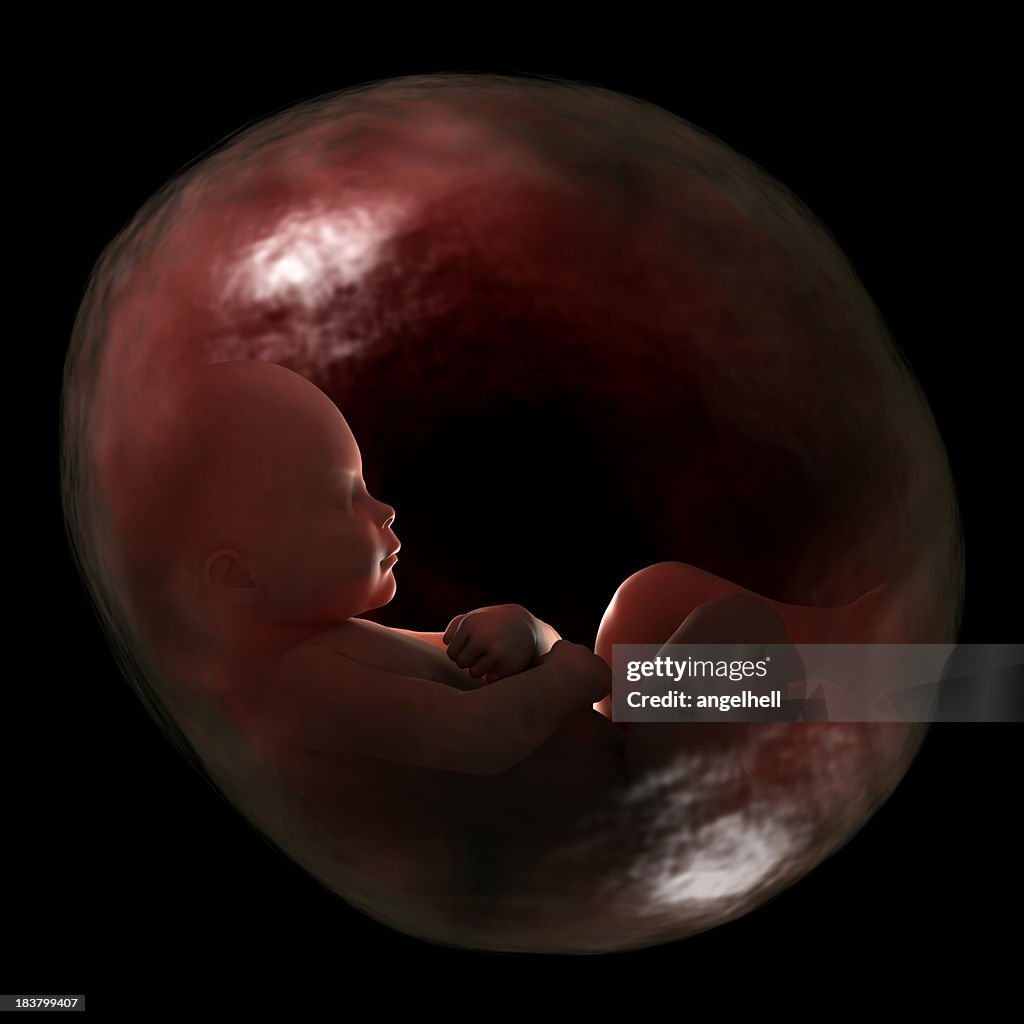 Human fetus in the womb, 40 weeks of gestation.