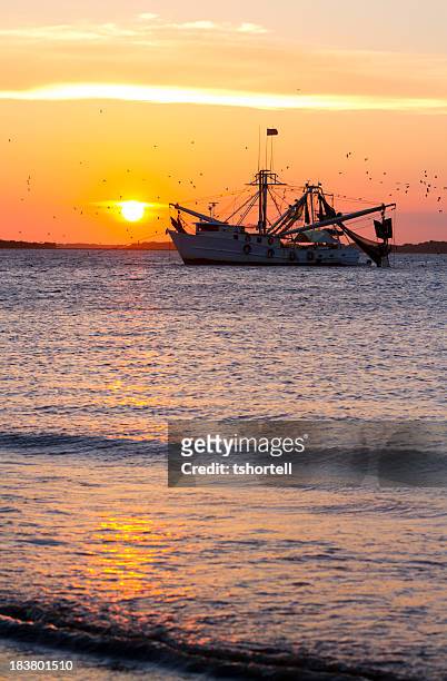 fishing boat at sunset - shrimp boat stockfoto's en -beelden