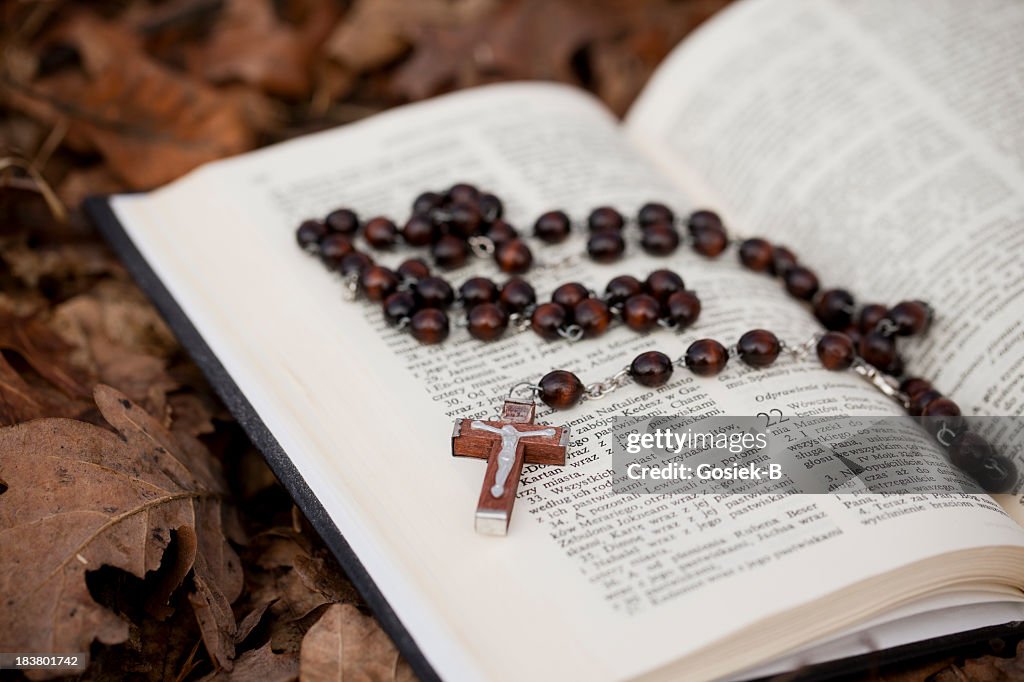 Rosary inside of a book on top of leaves