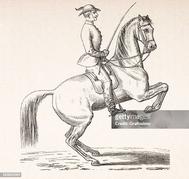 engraving of dressage rider on horse from 1870 - paddock stock illustrations