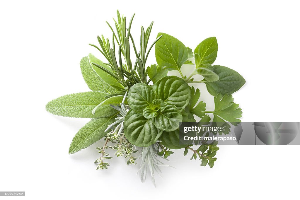 Collection of fresh herbs