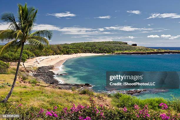 manele bay) hawaii - lanai foto e immagini stock