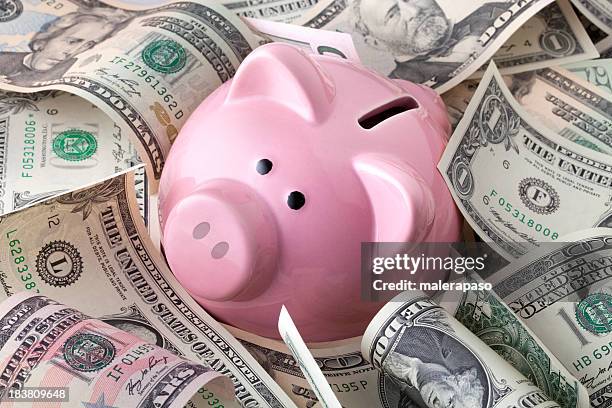 sparschwein mit dollar-banknoten - money talks stock-fotos und bilder