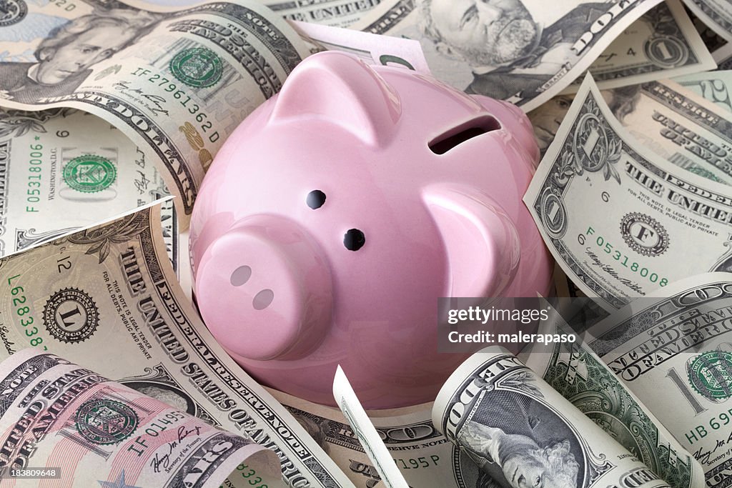 Piggy bank with dollars banknotes