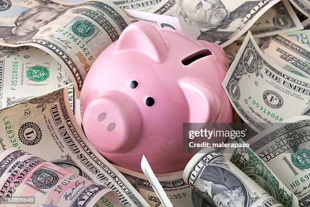 piggy bank with dollars banknotes - piggy bank stock pictures, royalty-free photos & images