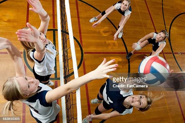 volleyball - volleyball sport stock-fotos und bilder