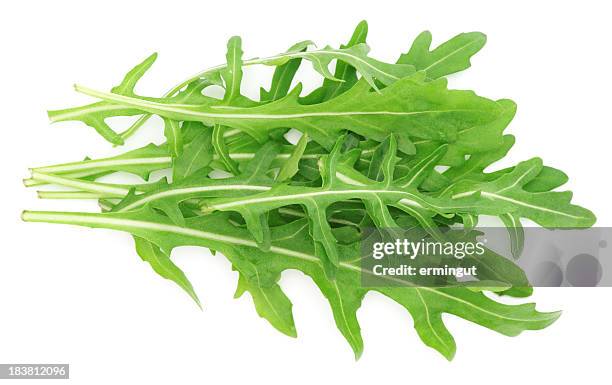 rucola foglie isolato su bianco di - rucola foto e immagini stock