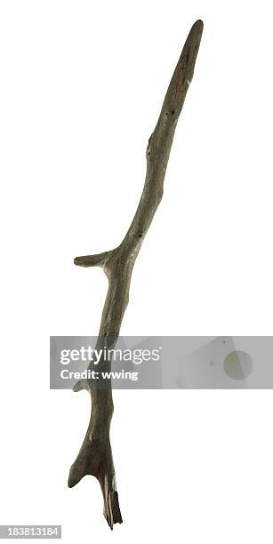 ironwood branch with clipping path - driftwood stock pictures, royalty-free photos & images